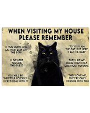 Cat 17x11 Poster front