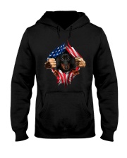 dachshund 2 Hooded Sweatshirt thumbnail