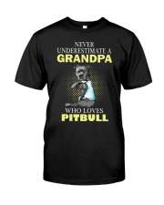 pitbull 1 Classic T-Shirt front