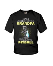 pitbull 1 Youth T-Shirt thumbnail