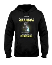 pitbull 1 Hooded Sweatshirt thumbnail