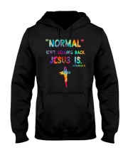 Normal Isn't Coming Back Jesus Is Revelation 14 Shirt Cross Christian Apparel Gifts Hooded Sweatshirt tile