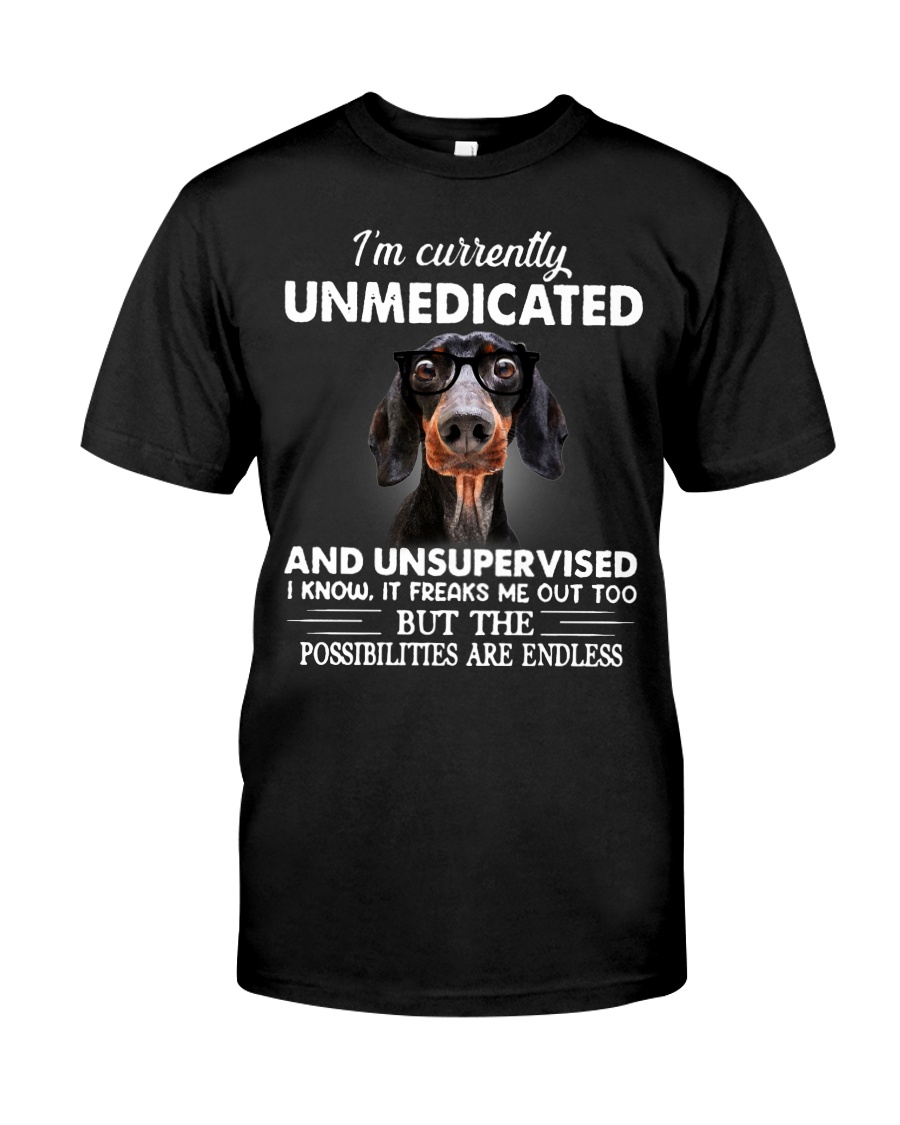 im currently unsupervised dachshund Classic T-Shirt