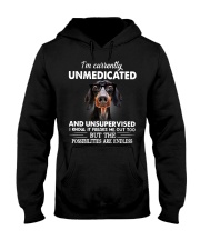 im currently unsupervised dachshund Hooded Sweatshirt thumbnail