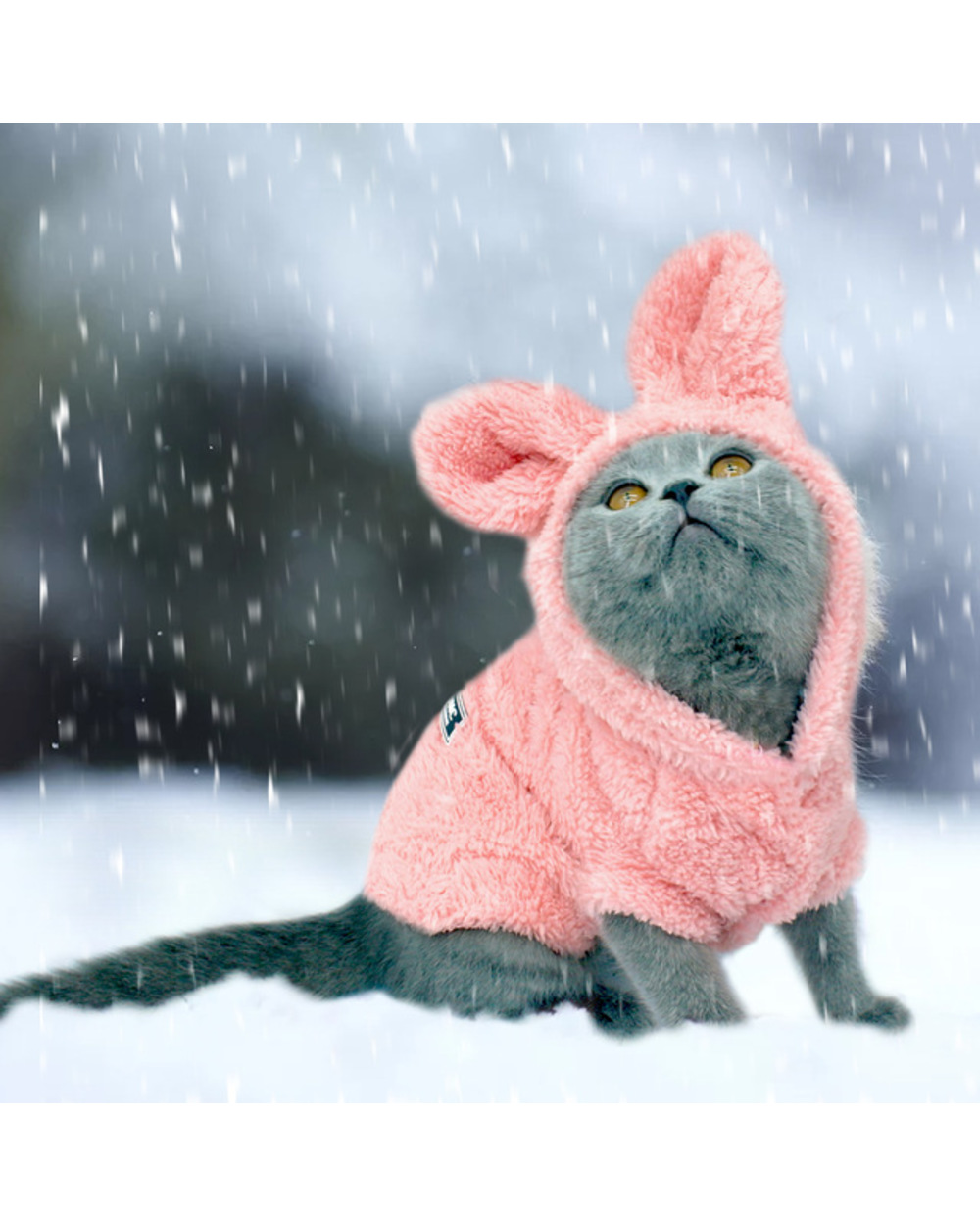Warm Cat Clothes Winter Pet Puppy Kitten Coat Jacket For Small Medium Dog Cats Chihuahua Yorkshire Clothing Costume Pink template