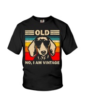 Dachshund 1 Youth T-Shirt thumbnail
