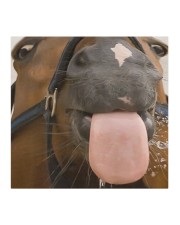 Funny Horse Face Mask Gifts For Dad From Daughter Cloth face mask aos-face-mask-coverlet-lifestyle-front-02