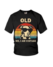 PITBULL old 2 Youth T-Shirt thumbnail