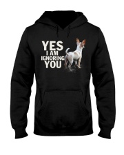 Yes i am ignoring you chihuahua IGNORING 2 Hooded Sweatshirt thumbnail