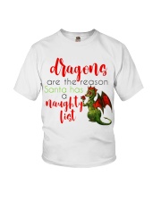 Dragons are Naughty in Really Nice Ways Youth T-Shirt thumbnail