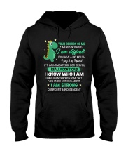 Your Opinion Of Me Means Nothing Dinosaur Hooded Sweatshirt thumbnail