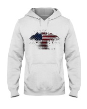 USA Independence Day USA Flag Eagle Patriot Hooded Sweatshirt thumbnail