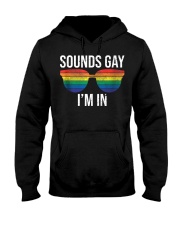 Sounds Gay I'm In Funny Gay Shirts LGBT Rainbow Hooded Sweatshirt thumbnail