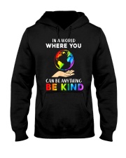 In A World Where You Can Be Anything Be Kind LGBT Hooded Sweatshirt thumbnail
