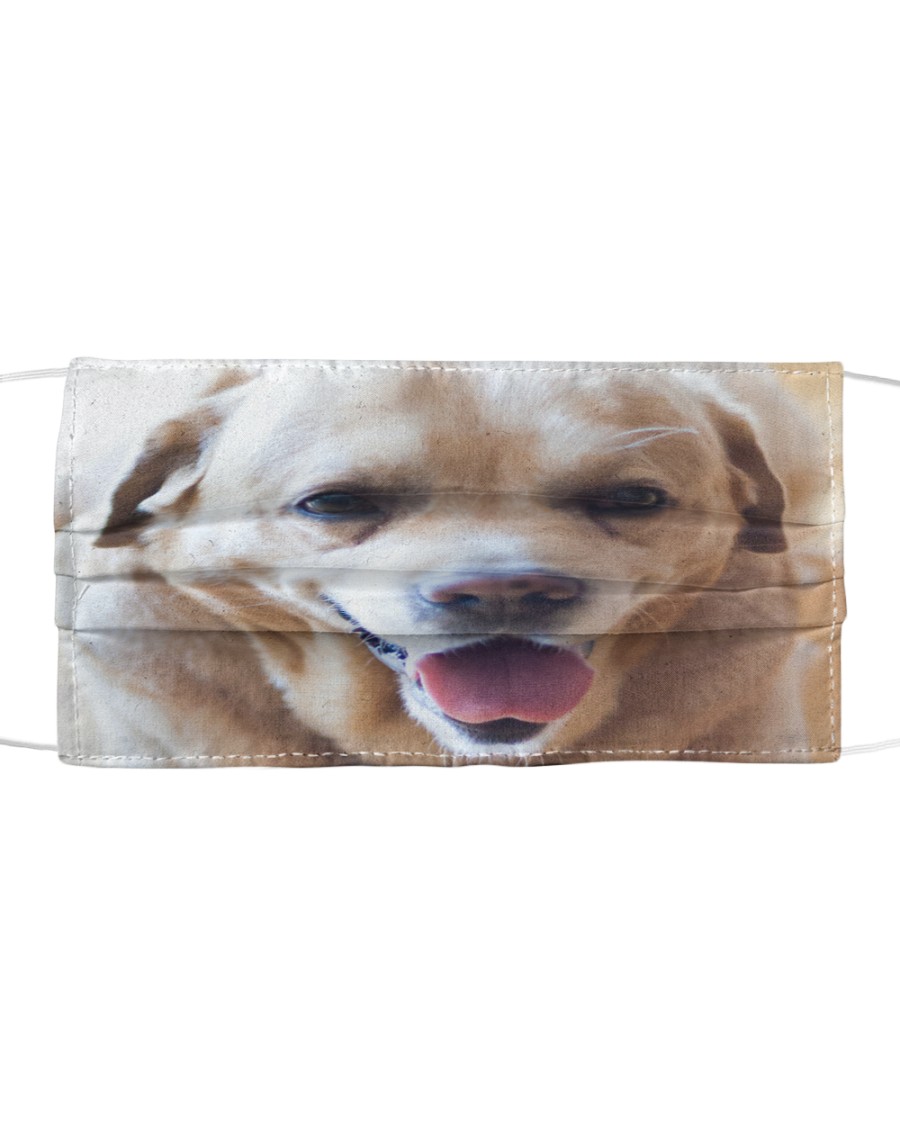 Big Face Labrador Retriever Cloth face mask