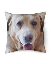 Big Face Labrador Retriever Indoor Pillow - 16” x 16” thumbnail