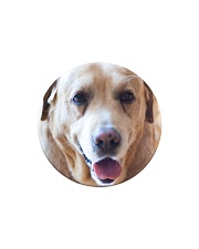 Big Face Labrador Retriever Circle Magnet thumbnail