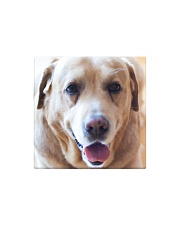 Big Face Labrador Retriever Square Magnet thumbnail