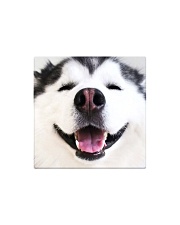 Big Face Husky Square Magnet thumbnail