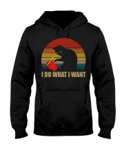 I Do What I Want Hooded Sweatshirt tile