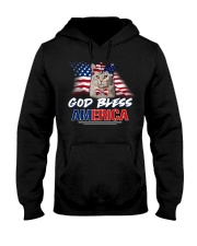 God Bless America Hooded Sweatshirt tile