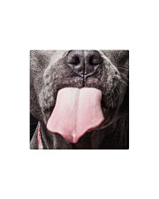 Big Face Pitbull Square Magnet thumbnail