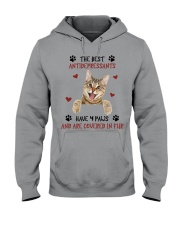 The Best Antidepressants Have 4 Paws Hooded Sweatshirt tile