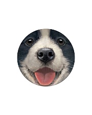 Big Face Border Collie Circle Magnet thumbnail