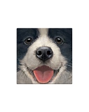 Big Face Border Collie Square Magnet thumbnail