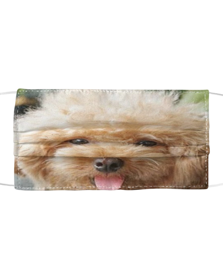 Big Face Poodle Cloth face mask