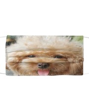 Big Face Poodle Cloth face mask front