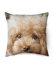 Big Face Poodle Indoor Pillow - 16” x 16” thumbnail