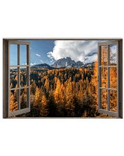 Forest 17x11 Poster front