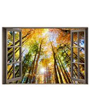 Forest 17x11 Poster front