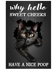 Why hello sweet cheeks have a nice poop 11x17 Poster front