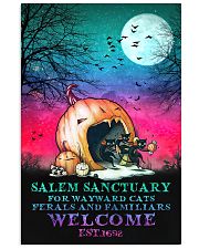 Salem sanctuary for wayward cats 11x17 Poster front