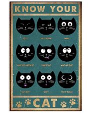 Cat Expression 11x17 Poster front