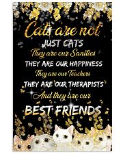 Cats are not just cats 11x17 Poster front