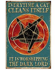 A cat cleans itself 11x17 Poster front