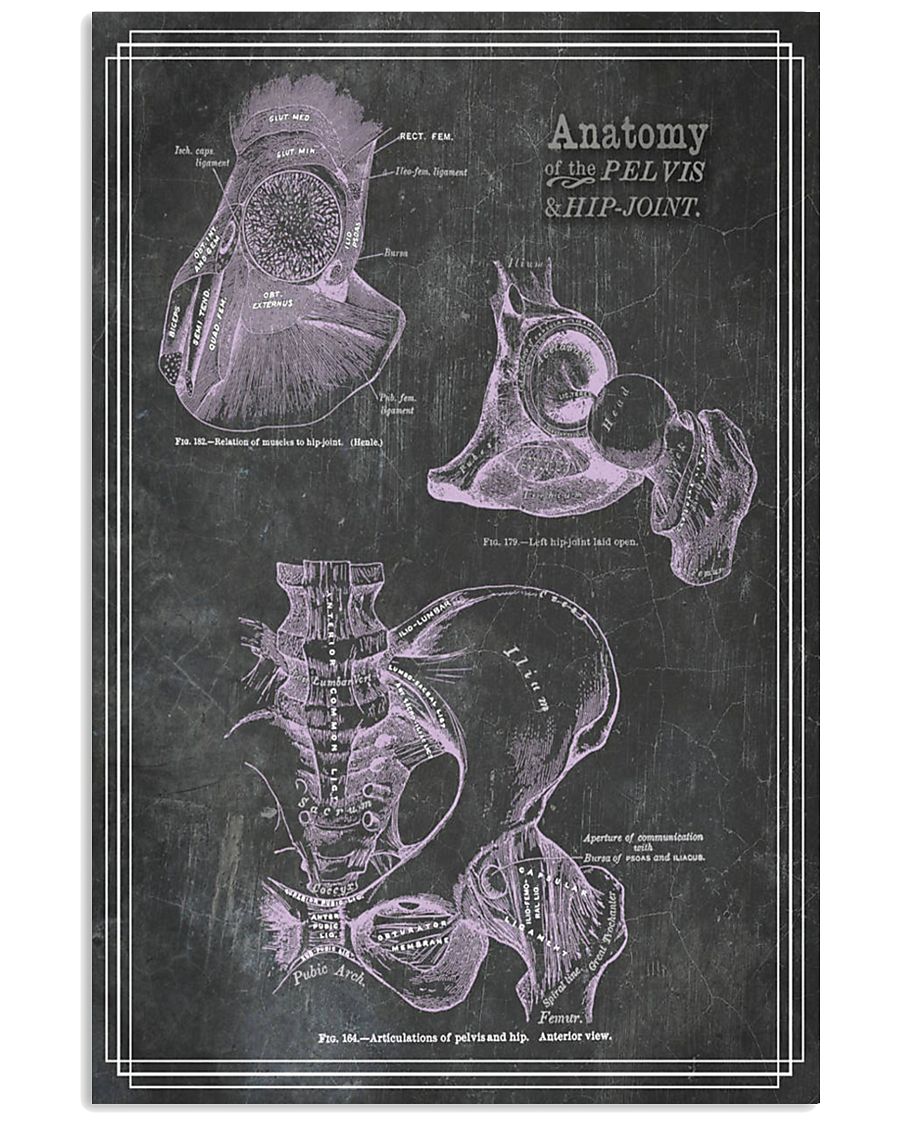 anatomy black board 8 11x17 Poster