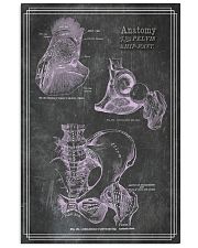 anatomy black board 8 11x17 Poster front
