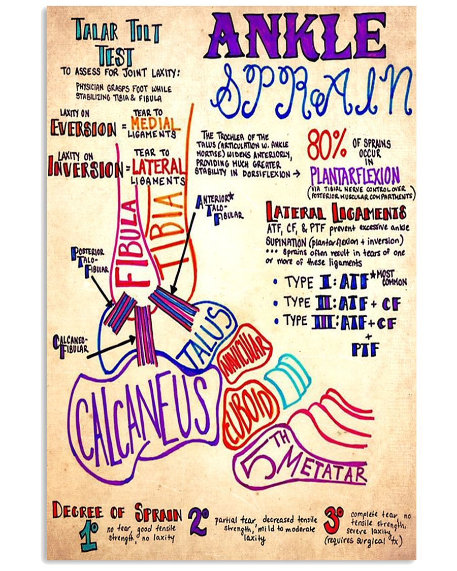 orthopedic ankle doodle 11x17 Poster