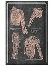 anatomy black board 4 11x17 Poster front