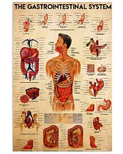 anatomy the gastrointestinal system 24x36 Poster front