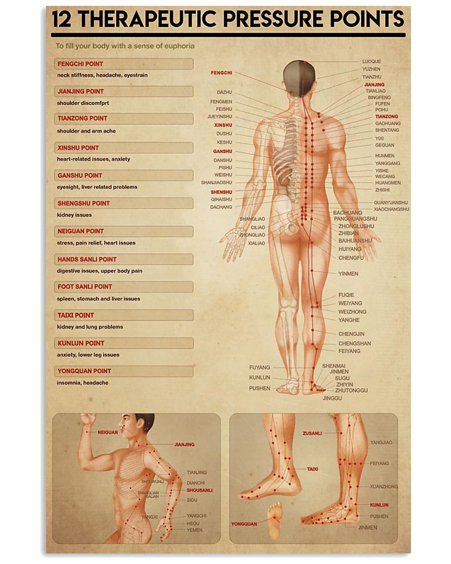 physical therapy pressure points 24x36 Poster