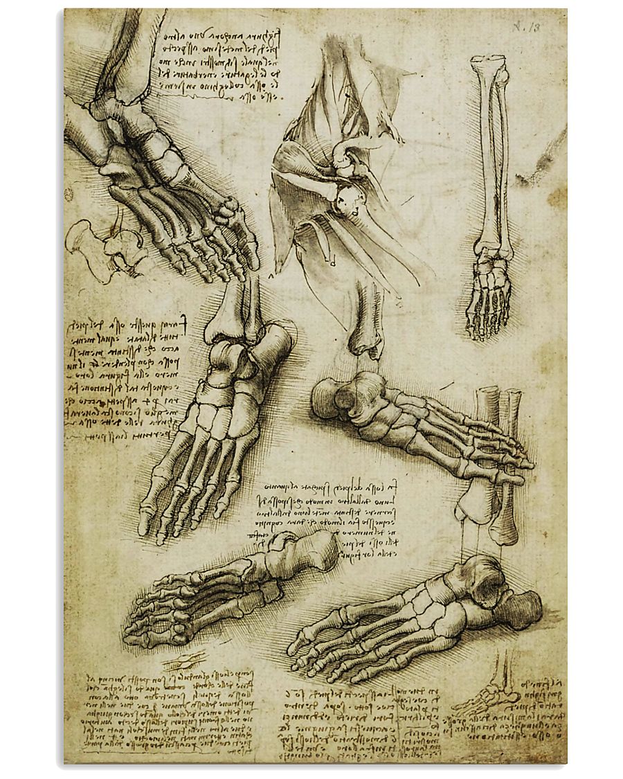 davinci-podiatry-foot 11x17 Poster