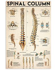 Spinal Column 24x36 Poster front