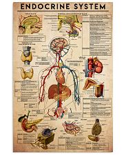 endocrine-system-antm 24x36 Poster front
