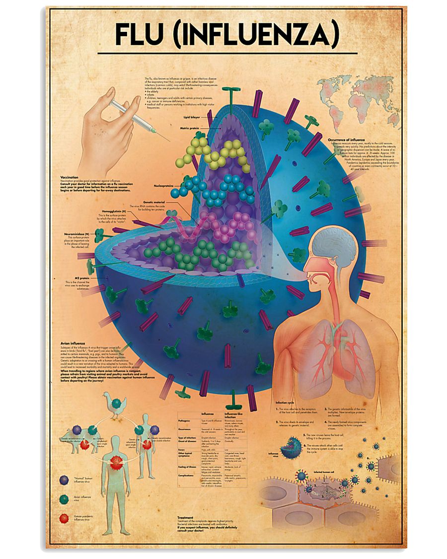 FLU poster 24x36 Poster