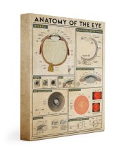 eye-anatomy 11x14 Gallery Wrapped Canvas Prints thumbnail